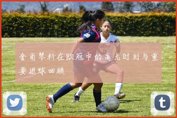 舍甫琴科在欧冠中的高光时刻与重要进球回顾