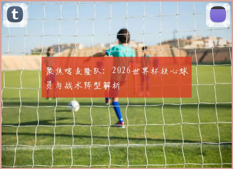 聚焦喀麦隆队：2026世界杯核心球员与战术阵型解析